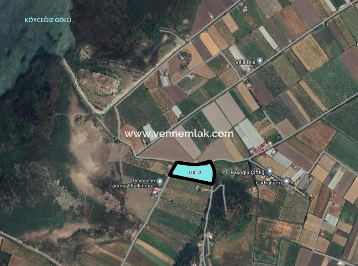 Vineyard Garden For Sale In Eskikoy Housing