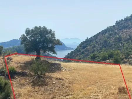 Single Title Deed Field With Sea And Lake Views In Gökbel Area